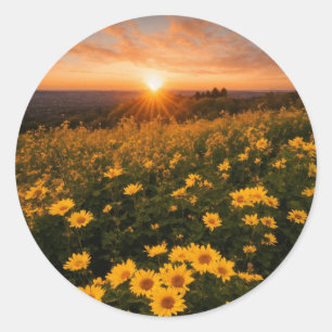 Stickers ronds classiques