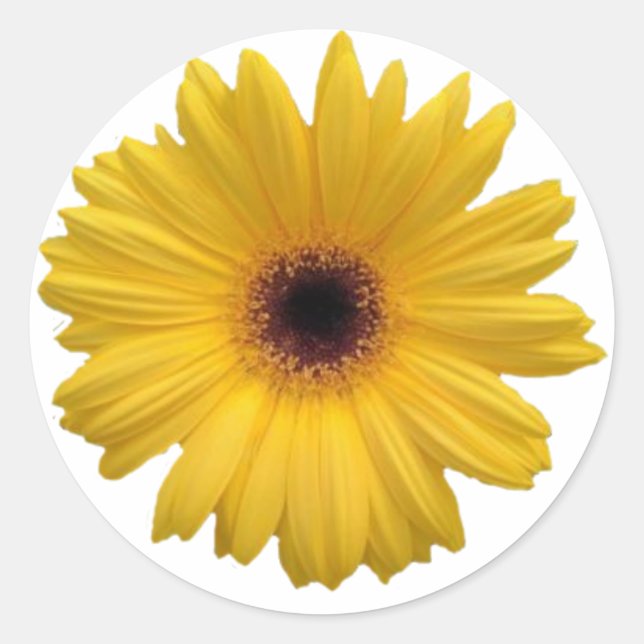 Stickers ronds de marguerite jaune (Devant)