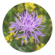 Stickers ronds Fleurs sauvages violets tachetés
