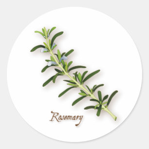 Stickers ronds Herbes de romarin
