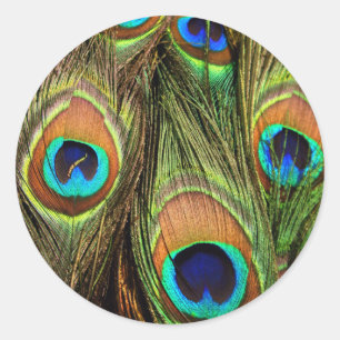 Stickers ronds Peacock Feathers