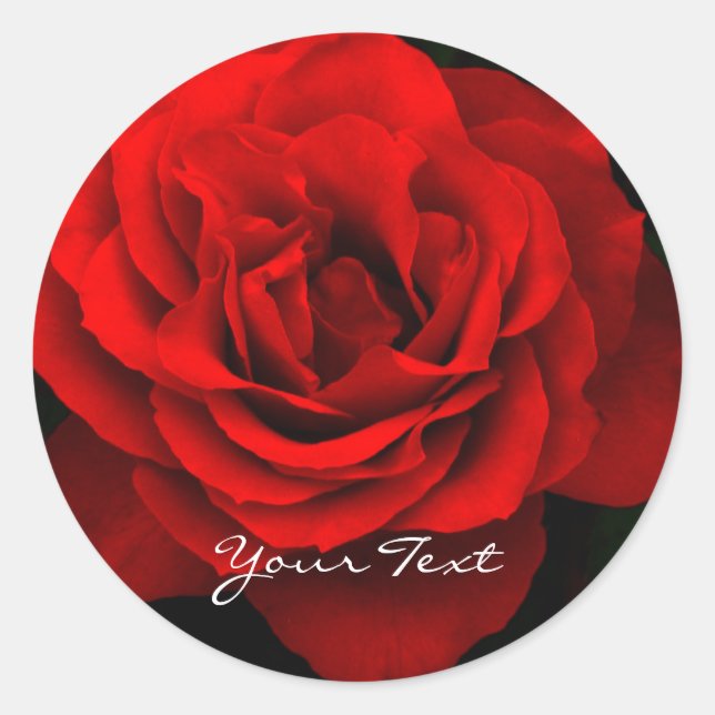 Stickers ronds Red Rose Fire (feuille de 20) (Devant)
