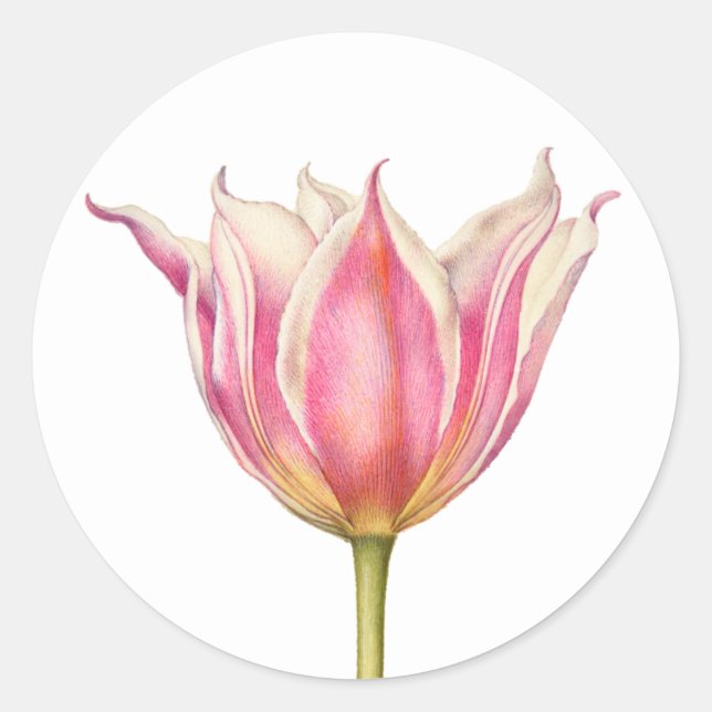 Stickers ronds Tulipe vintage (Devant)