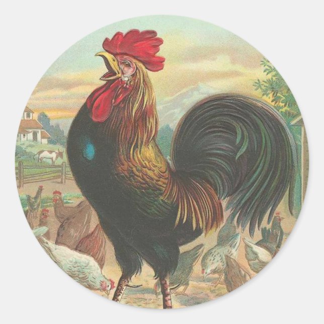 Stickers Rooster vintages (Devant)