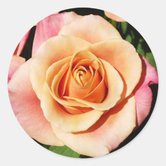 Stickers Rose