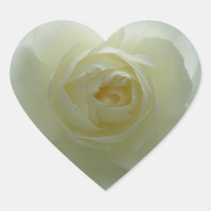 Stickers Rose blanche Cheveux Rose cadeaux Keepsak