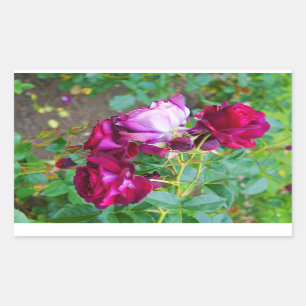 Stickers Rose bleu sauvage no 1-2