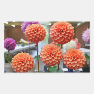 Stickers Rose Dahlia Toscane #1-2