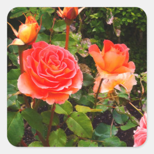 Stickers Rose en laiton #1-1