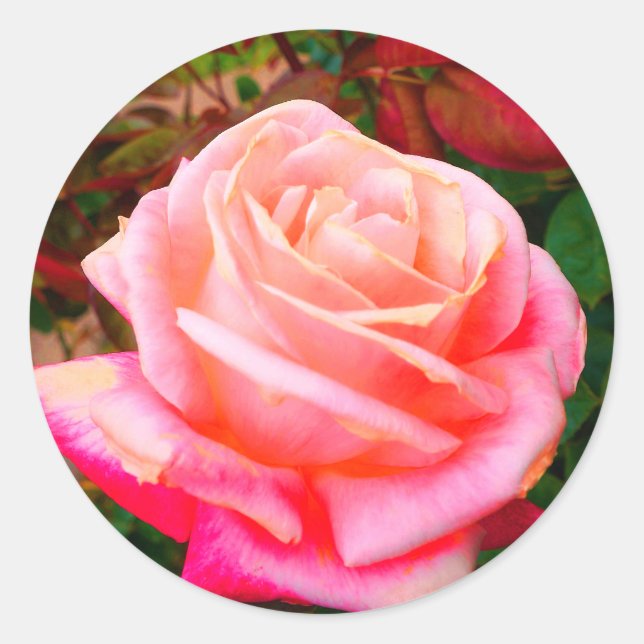 Stickers Rose Gemini #2 (Devant)