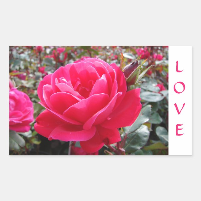 Stickers Rose Love Pink Romance (Devant)