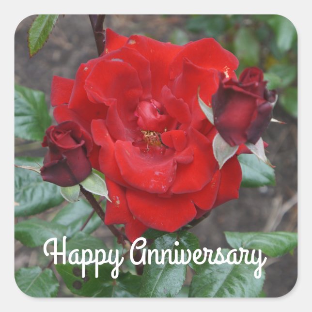 Stickers Rose no 1 du bouquet Crimson, joyeux anni (Devant)