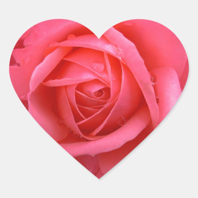 Stickers Rose Rose Rose Rose Rose Roses cadeaux Ke (Devant)