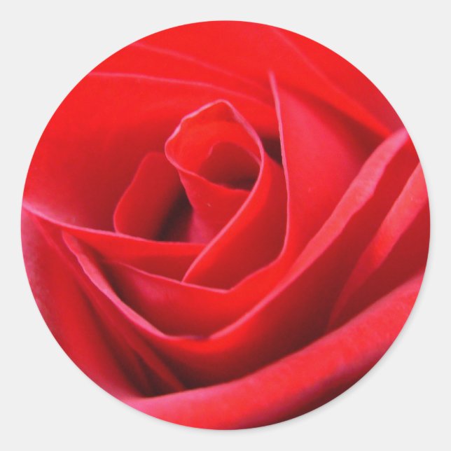 Stickers Rose rouge rose Rose Rouge cadeaux Keepsa (Devant)