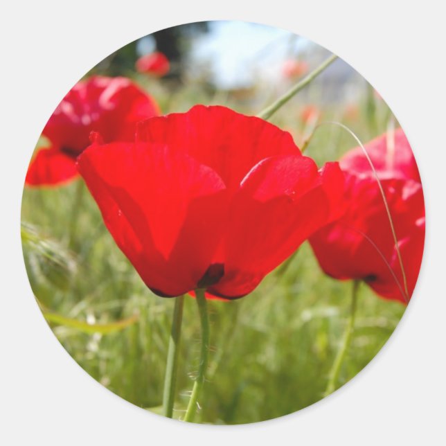 STICKERS ROUGES POPIES POUR ENVELOPES (Devant)