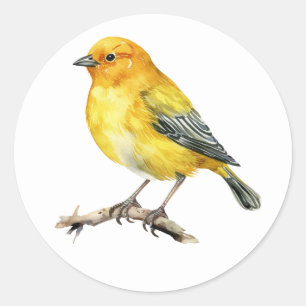 Stickers Saffron Finch Oiseau
