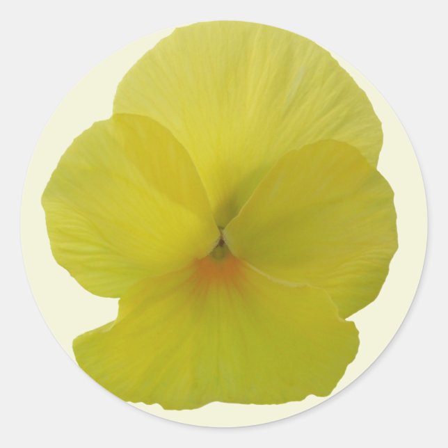 Stickers - Sansy Citron Porté (Devant)