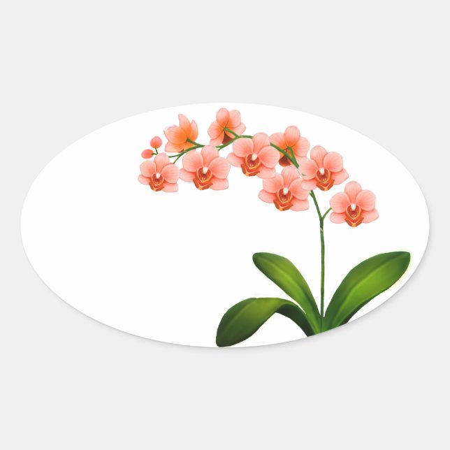 Stickers saumon Phalaenopsis Fleurs d'orchidées (Devant)
