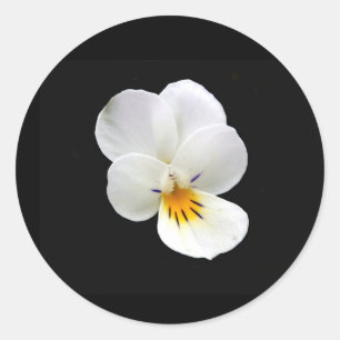 Stickers Sauvage Pansy