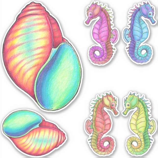 Stickers Seahors et Shell Vinyl (Devant)