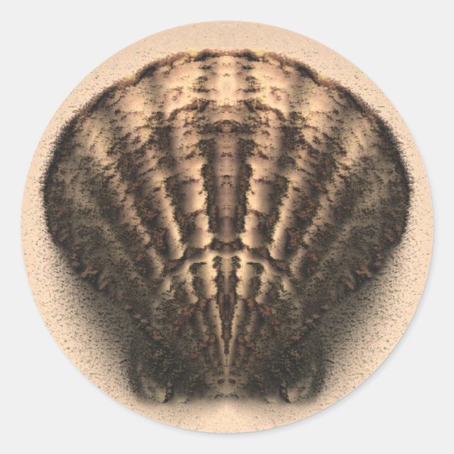 Stickers Shell (Devant)