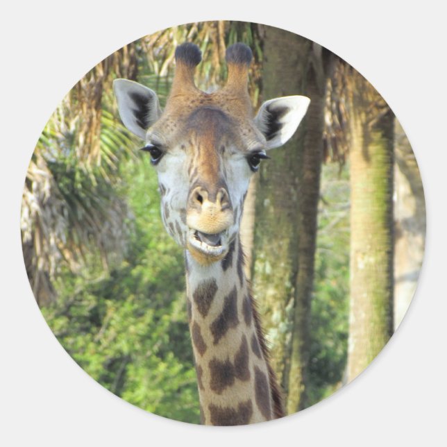 Stickers Silencieux en Giraffe (Devant)