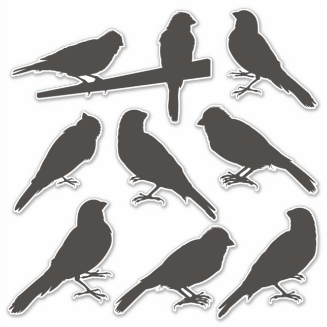 Stickers Silhouette d'oiseaux canariens (Devant)