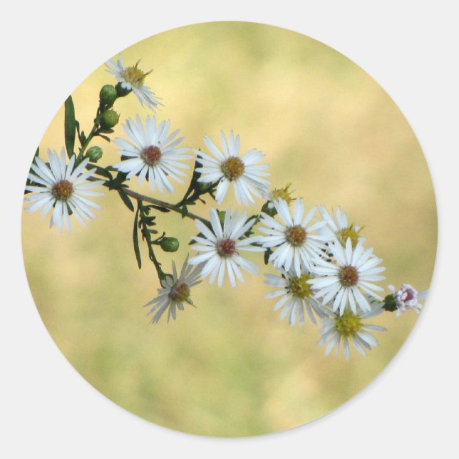 Stickers SimpleDelight (Devant)