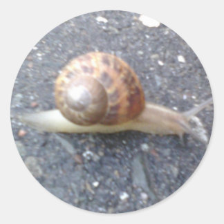 Stickers Snail