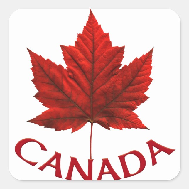 Stickers souvenir Canada Stickers Feuille d'érable (Devant)