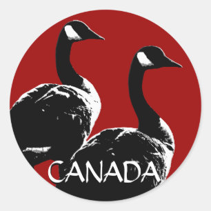 Stickers souvenir Canada Stickers oie Canada