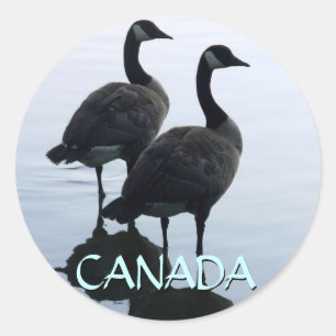 Stickers souvenir Canada Stickers oie Canada