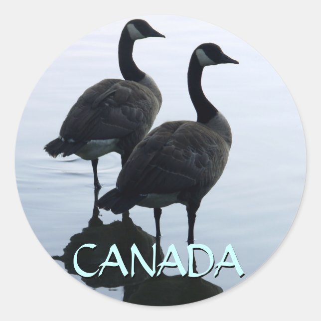 Stickers souvenir Canada Stickers oie Canada (Devant)