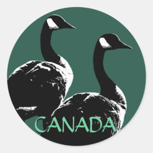 Stickers souvenir Canada Stickers oie Canada