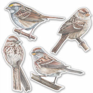 Stickers Sparrow Pack de valeur
