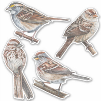 Stickers Sparrow Pack de valeur