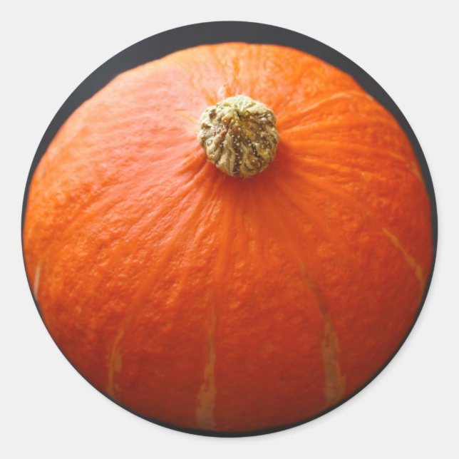 Stickers Squash (Devant)