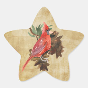 Stickers Star Star de Vacances Cardinal Rouge