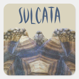 Stickers Sulcata Tortoise