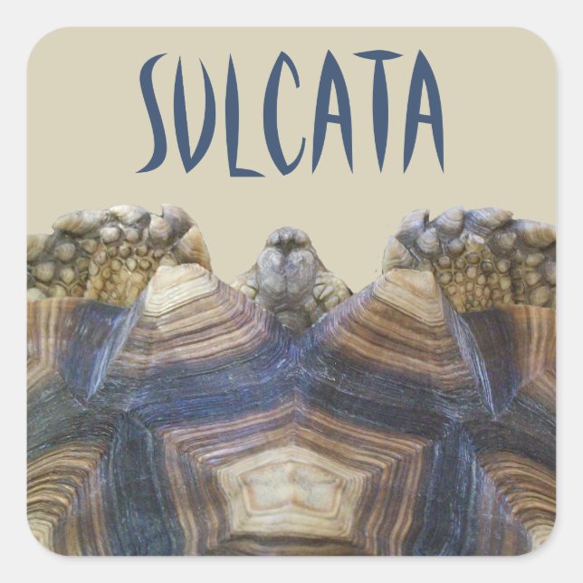 Stickers Sulcata Tortoise (Devant)