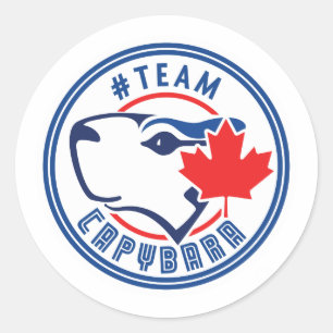 Stickers Team Capybara