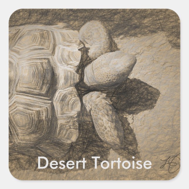 Stickers Tortue du désert (Devant)