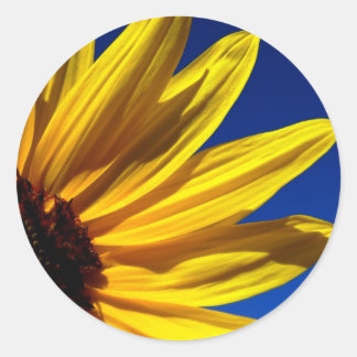 Stickers Tournesol