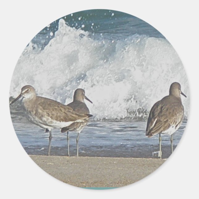 Stickers Trio Bird Shore (Devant)