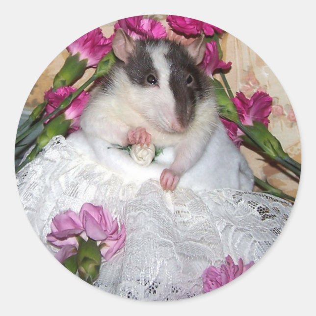 Stickers Trudy de mariée de rat d'animaux (Devant)
