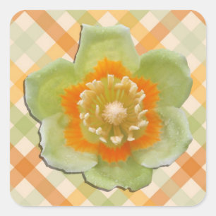 Stickers - Tulip Poplar Tulip auf Karos