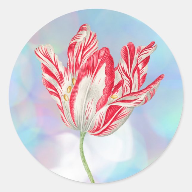 Stickers Tulipe rouge vintage (Devant)