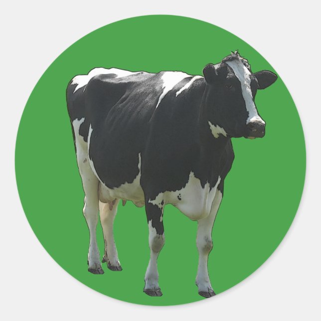 Stickers Vache (Devant)