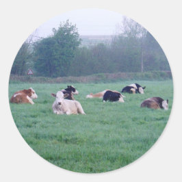 Stickers - Vaches - En Couleur