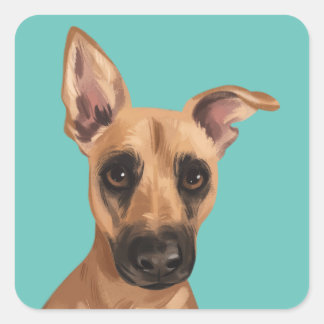 Stickers Vaden Jones